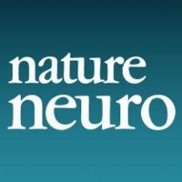 nature neuroscience logo