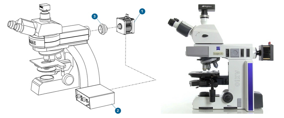 single LED on microscope
