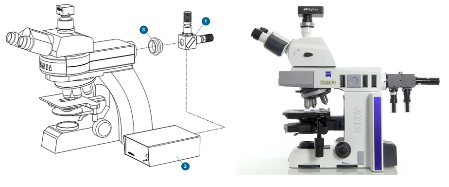 multi-wavelength LEDs on microscope