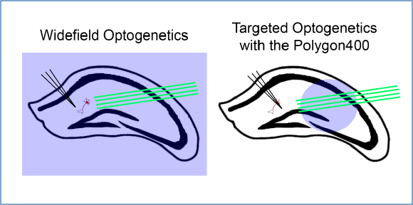 figure2_back