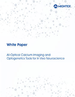 White Paper Cover