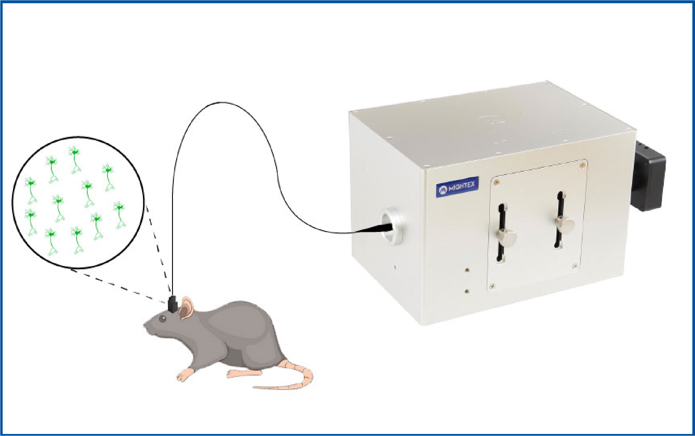 oasis-implant_small_diagram_v3_updated_imaging2_2