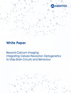 White Paper Cover