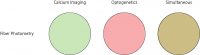 imaging and optogenetics resolution for fiber photometry