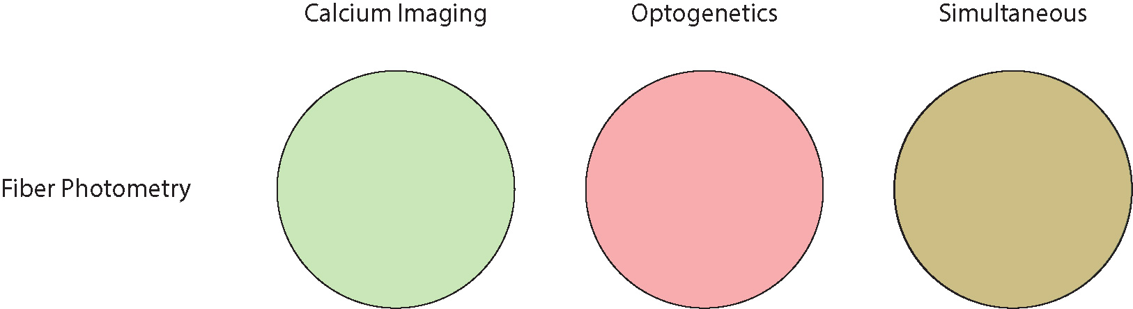 imaging and optogenetics resolution for fiber photometry
