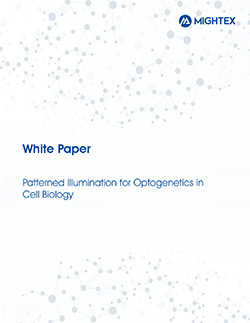 cellbio_whitepaper_small