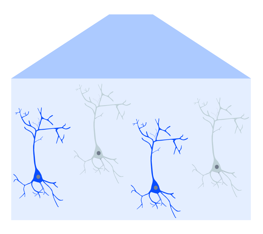 Electrical recording during optogenetic inhibition of