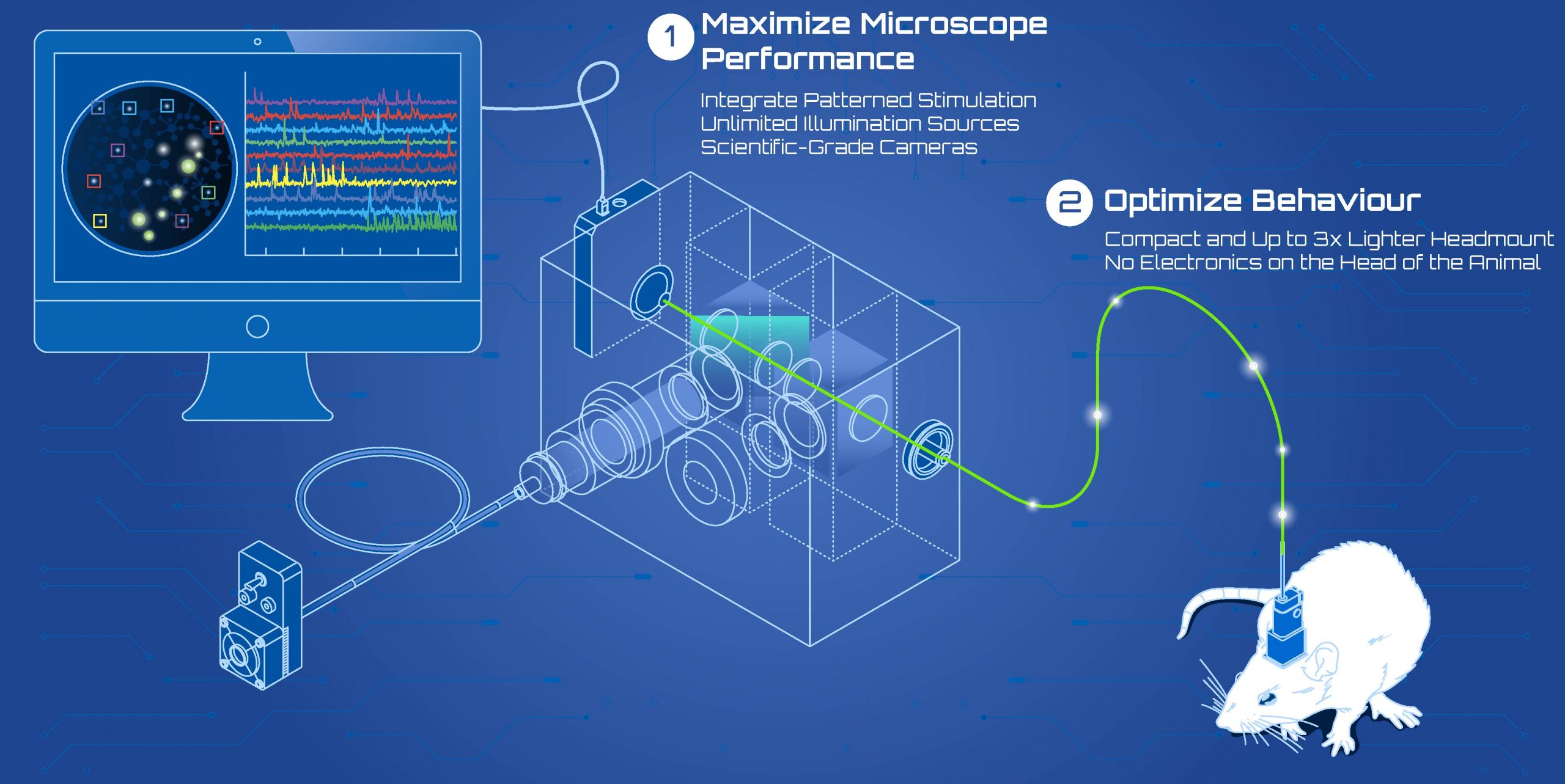 implant_2