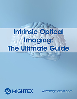 intrinsic_imaging_ebook_small