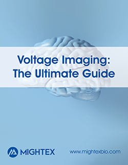 voltage_imaging_ebook_small