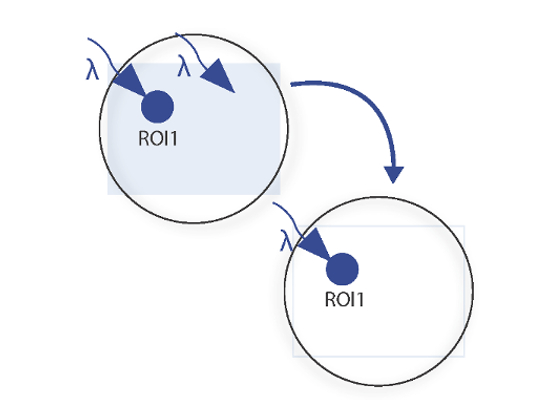 decreased-ectopic-activation-illustration