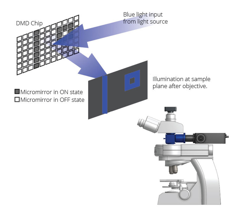 dmd-and-polygon-illustration