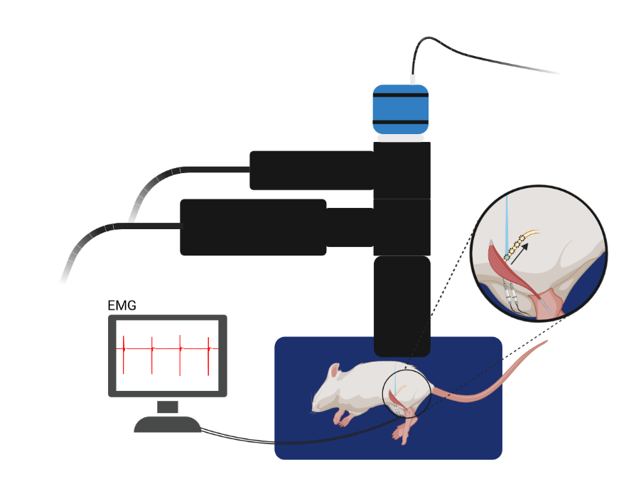 experiment_schematic_final