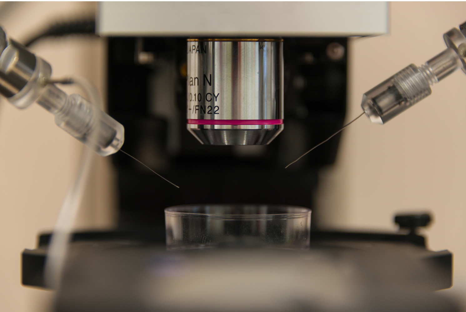 copy-of-copy-of-freely-behaving-calcium-imaging-6