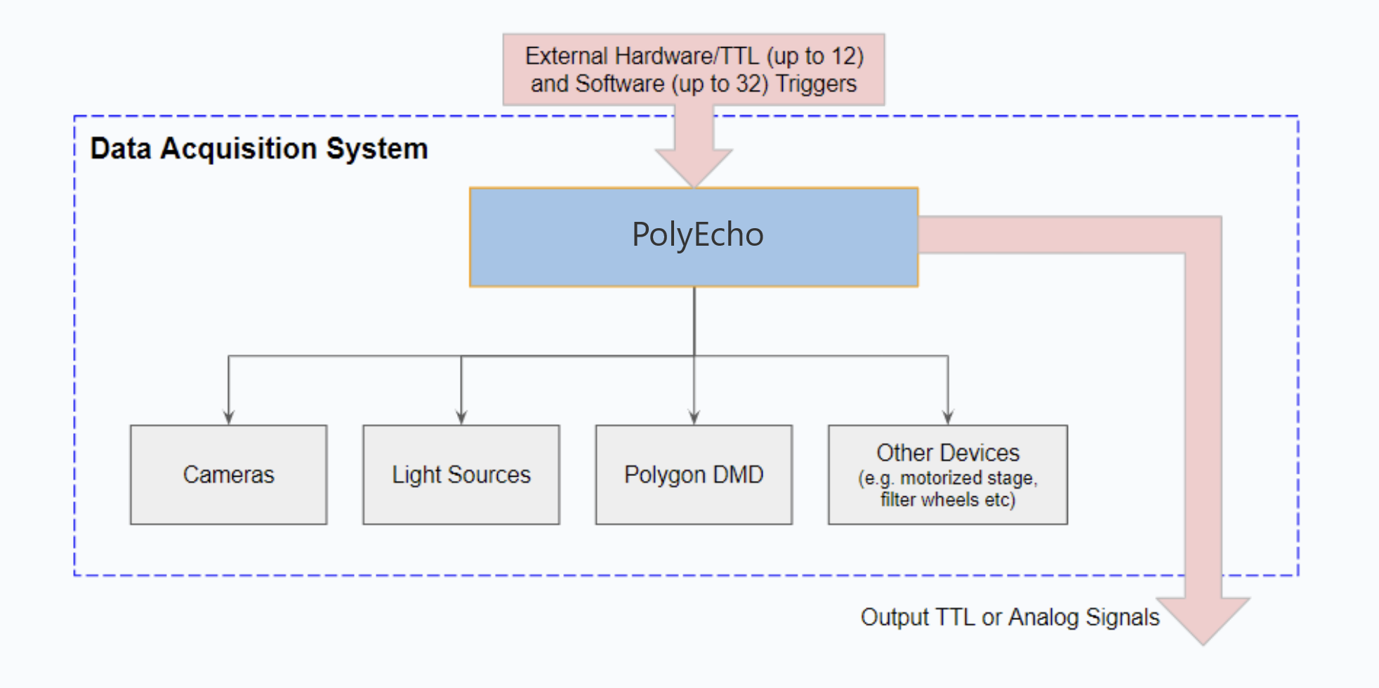 polyecho_1-1