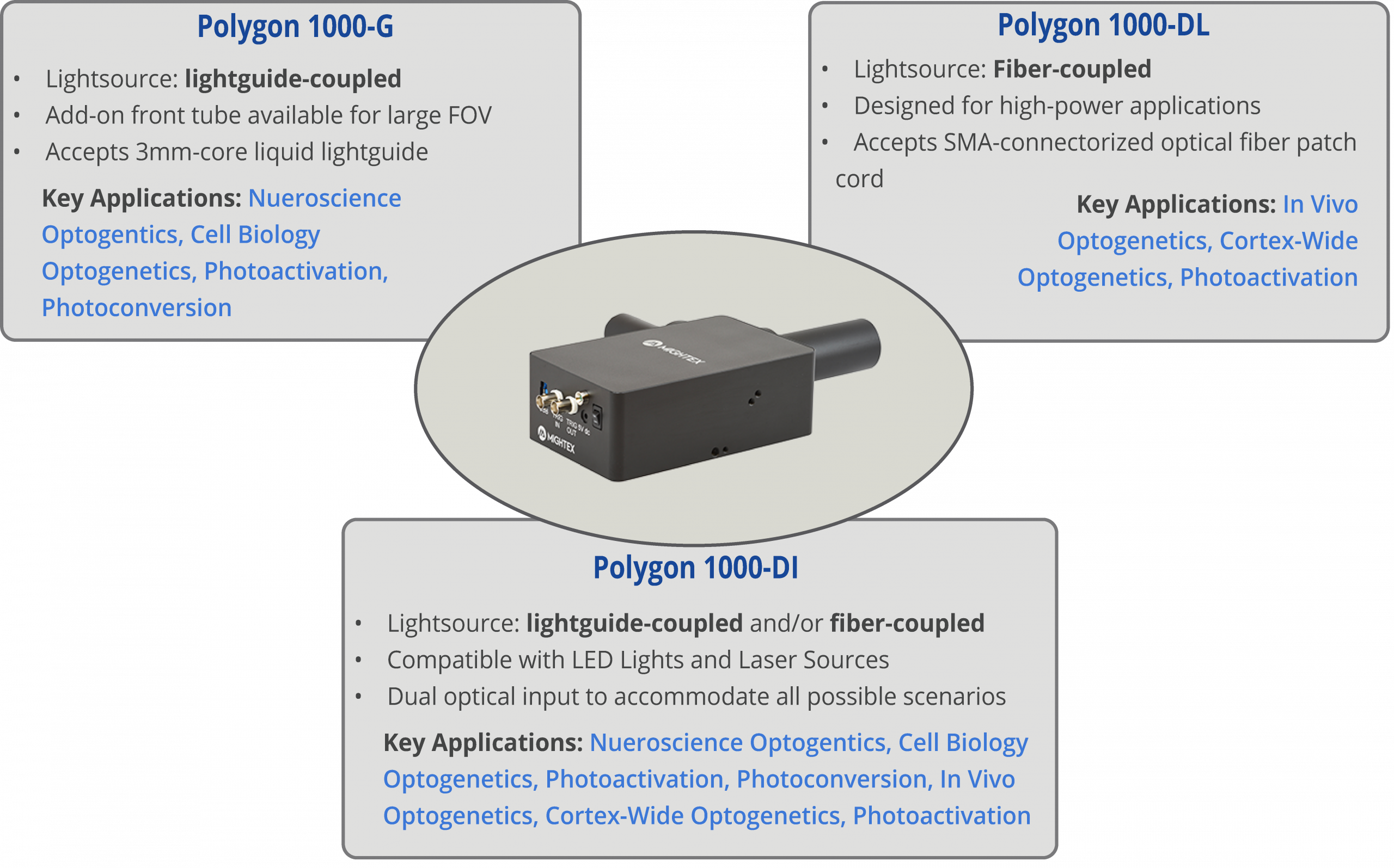 polygon-models