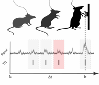 behaviorr-vs-data-schematic-1