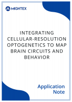 e-book-cover-pages-3