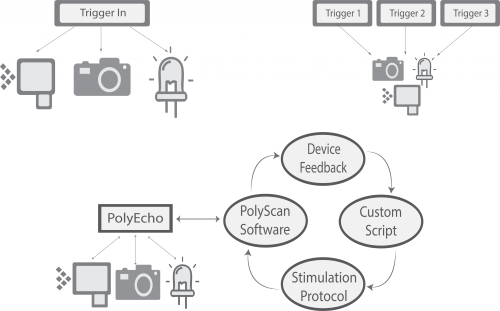 polyecho-schematics-macromicro