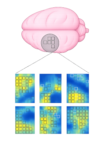 PIC-light-seq