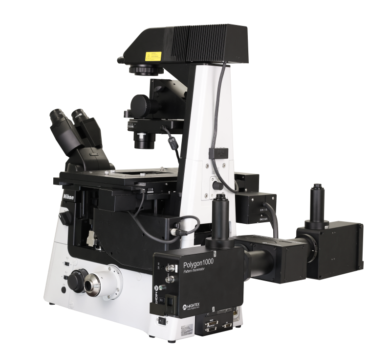 Mightex's DMD Pattern Illuminator for targeted photostimulation called the Polygon, can be easily added to the infinity path of any commercial or custom microscope
