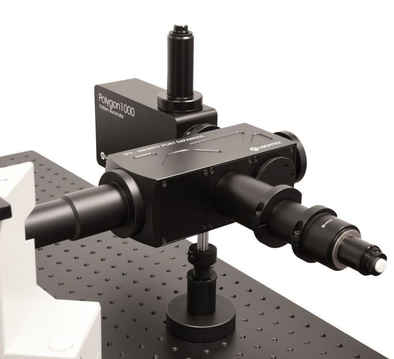 Polygon Adaptors for Complex Systems