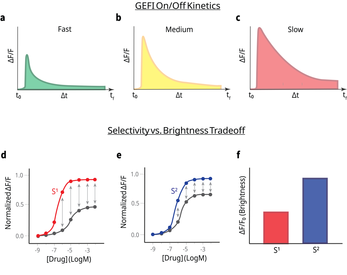 ebook-fiber-photometry-part-2-fig1 ebook-fiber-photometry-part-2-fig1