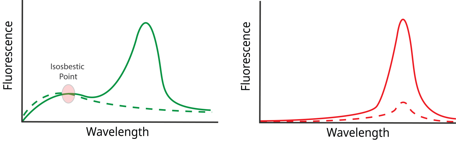ebook-fiber-photometry-part-2-fig6 ebook-fiber-photometry-part-2-fig6