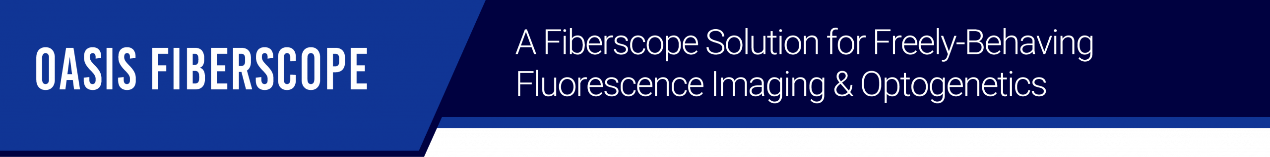 fiberscope_google-ad-landing-page-banner