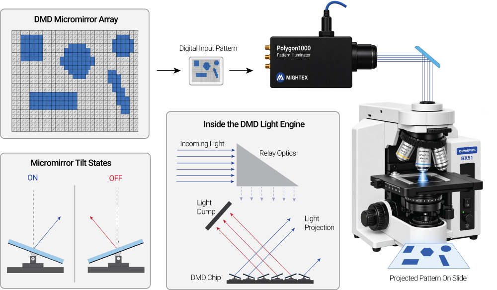 Explaining what is Mightex's DMD Pattern Illuminator for targeted photostimulation and how it works, consist of millions of high-speed, reconfigurable micromirrors that provide spatial light modulation within microseconds.